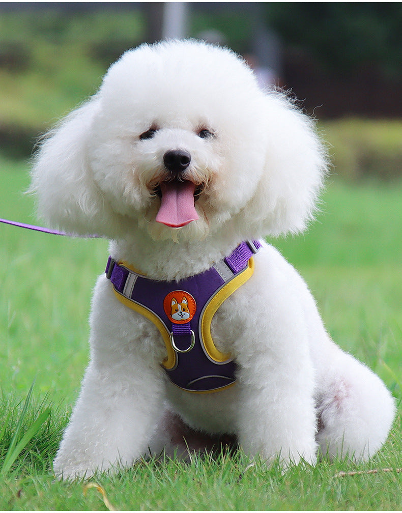 Soft & Safe Harnesses