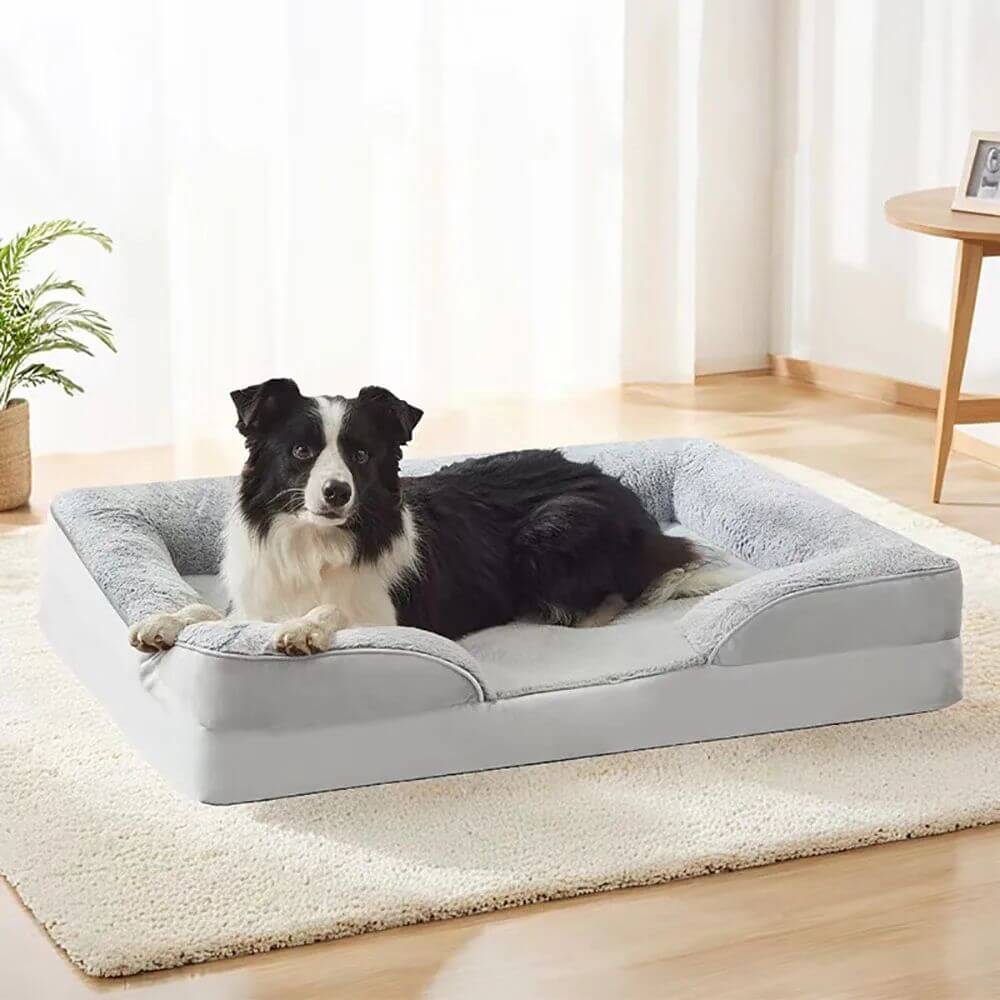 Orthopedic Dog Beds for Pain Relief & Better Sleep