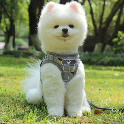 Soft Breathable Pet Harness & Leash Set – Reflective, Lightweight & Stylish (XS–XL)
