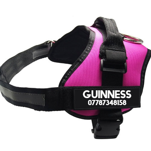 Reflective No-Pull Harness – Strong Nylon Chest Strap for Dogs