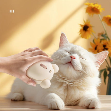 Grooming a fluffy white cat with a gentle steam brush in a sunny room with flowers.