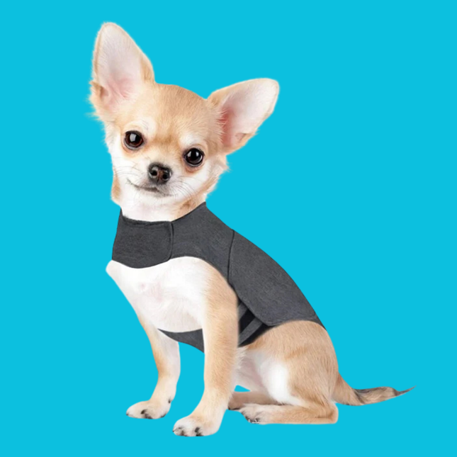 Calming Dog Anxiety Vest – Warm, Soothing Compression Jacket