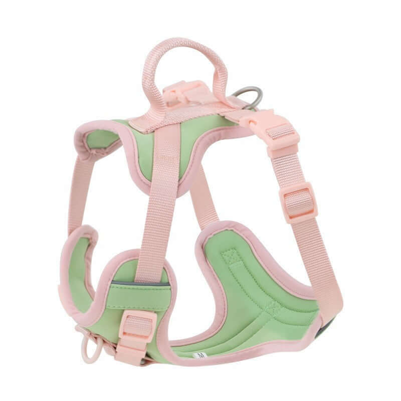 Dog Harness Leash Set