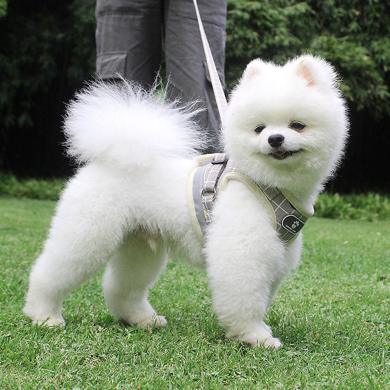 Soft Breathable Pet Harness & Leash Set XSXL