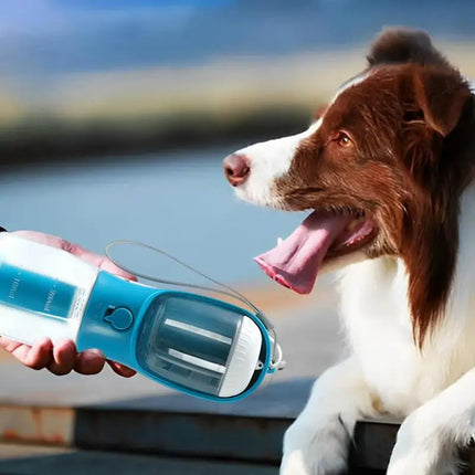 3-in-1 portable pet water bottle being used to hydrate a dog outdoors by a lake.