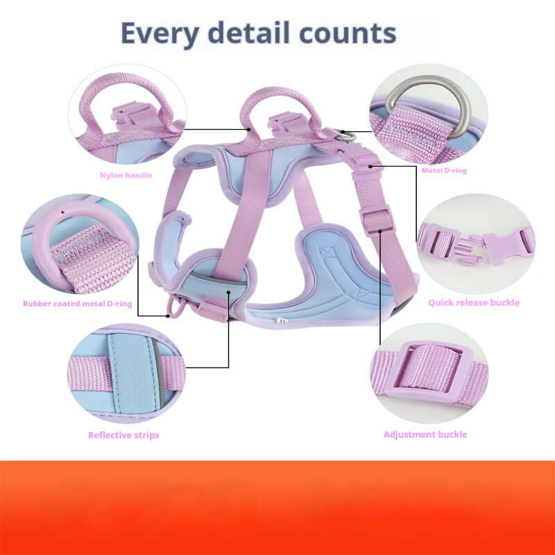 Dog Harness Leash Set