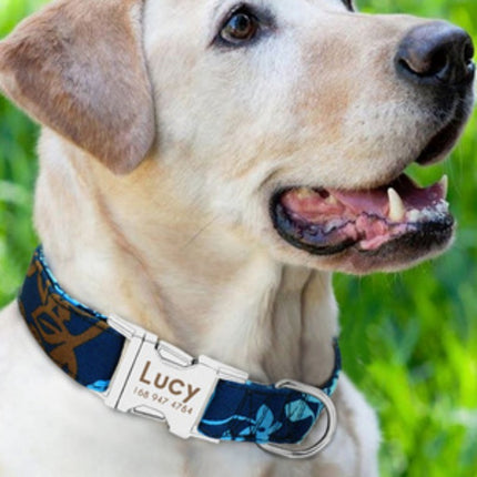 Pet ID Necklace – Personalized Tag Collar to Protect Your Furry Friend