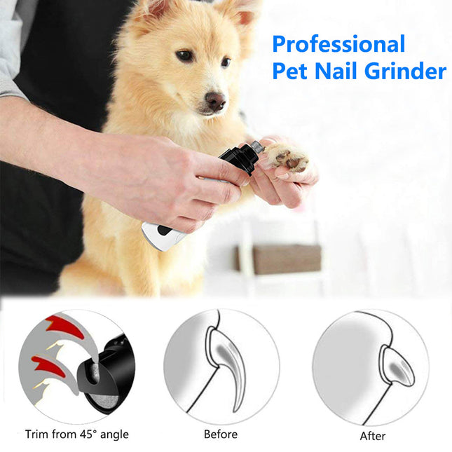 Person using electric pet nail grinder on dog's paw, demonstrating before and after results.