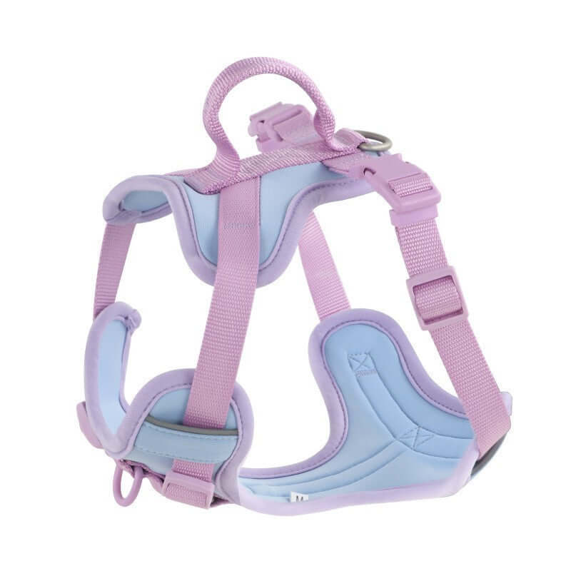 Dog Harness Leash Set