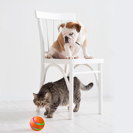 A playful dog sitting on a chair while a cat approaches a colorful toy ball on the floor.