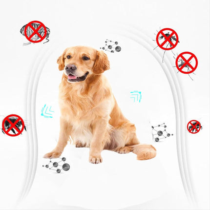 Golden Retriever sitting with illustrations of flea prevention symbols, showing protection from pests.