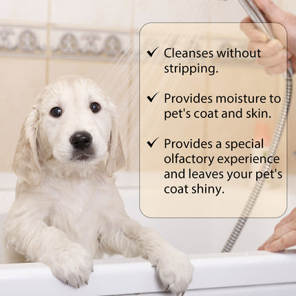 Golden retriever puppy in bath with features of Gentle Shine Pet Shampoo highlighted, promoting gentle cleansing and moisturization.