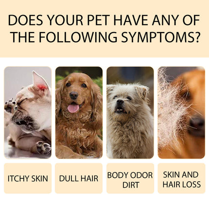 Collage of pets showing symptoms: itchy skin, dull hair, body odor dirt, skin and hair loss.