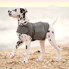 Calming Dog Anxiety Vest – Warm, Soothing Compression Jacket