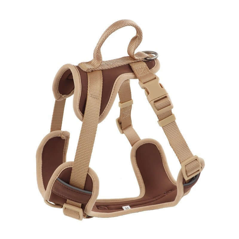 Dog Harness Leash Set