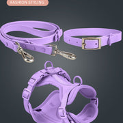 PVC Dog Harness Set