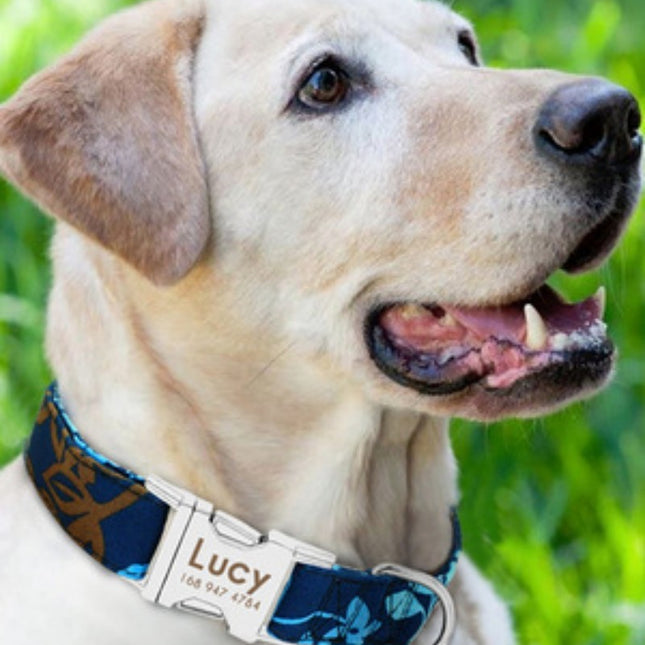 Pet ID Necklace – Personalized Tag Collar to Protect Your Furry Friend