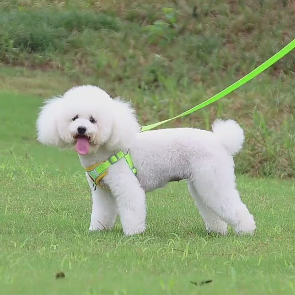 Load video: Dog Harness Cat Harness Reflective Dogs